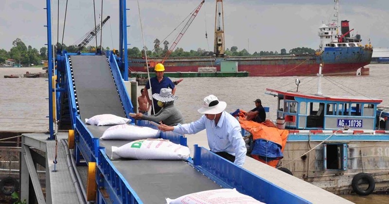 xuất khẩu gạo